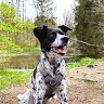 Alexander