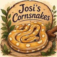 Josi's Cornsnakes 