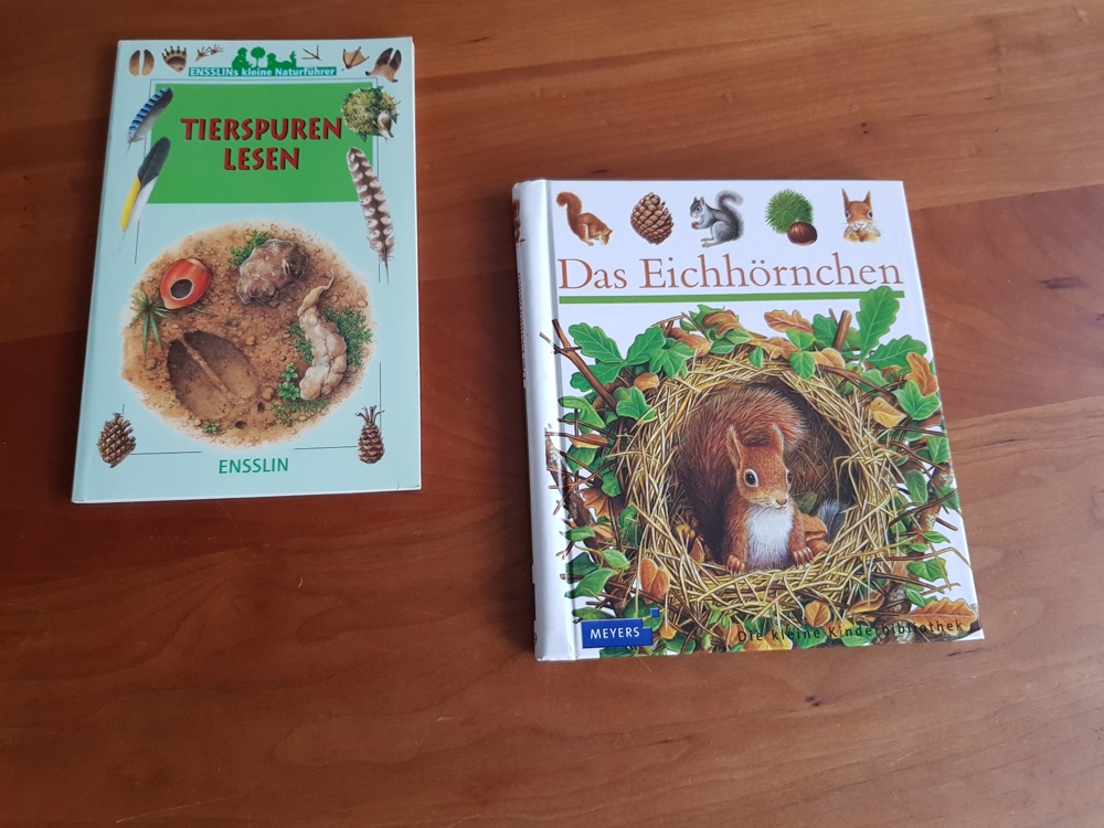 Eichhörnchen Meyers Kinderlexikon + Tierspuren lesen