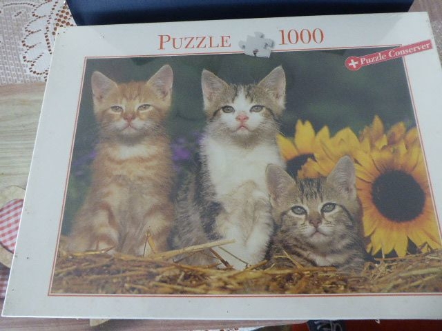 1000 Teile Puzzle Katzen-Motiv