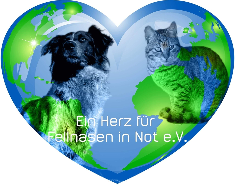 +++ Pflegestellen für unsere Hunde gesucht !!! +++