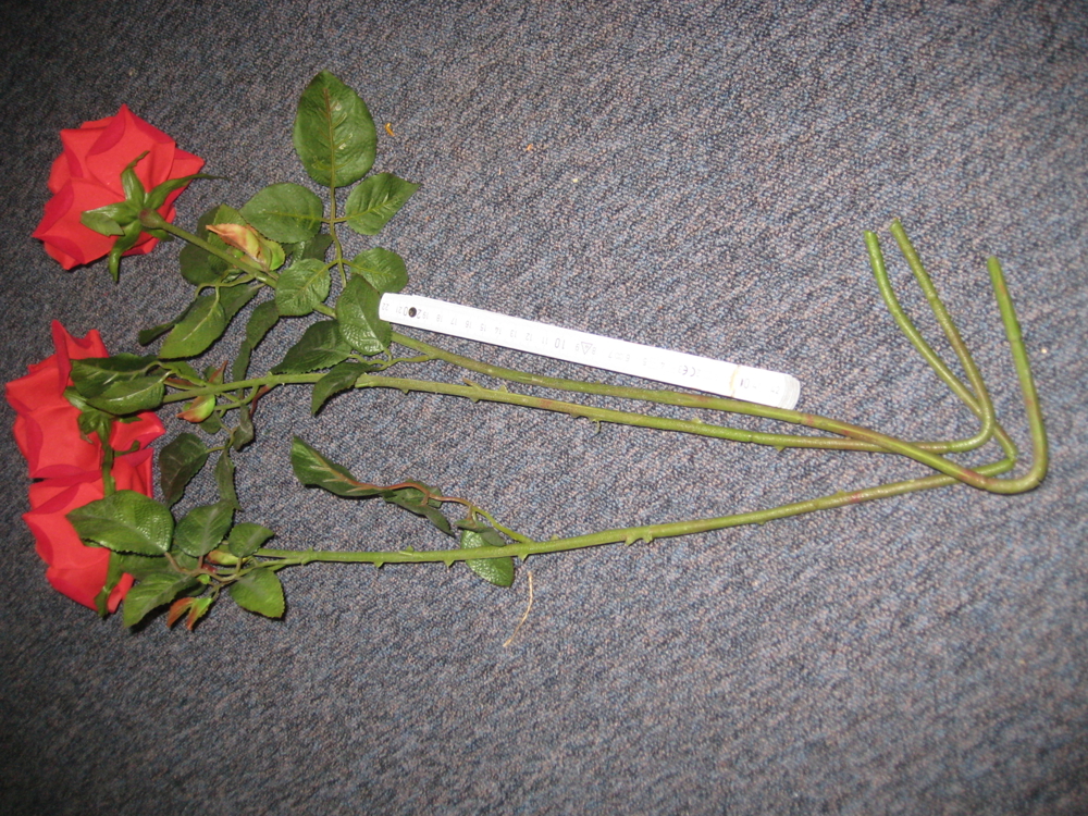 Deko-Rosen