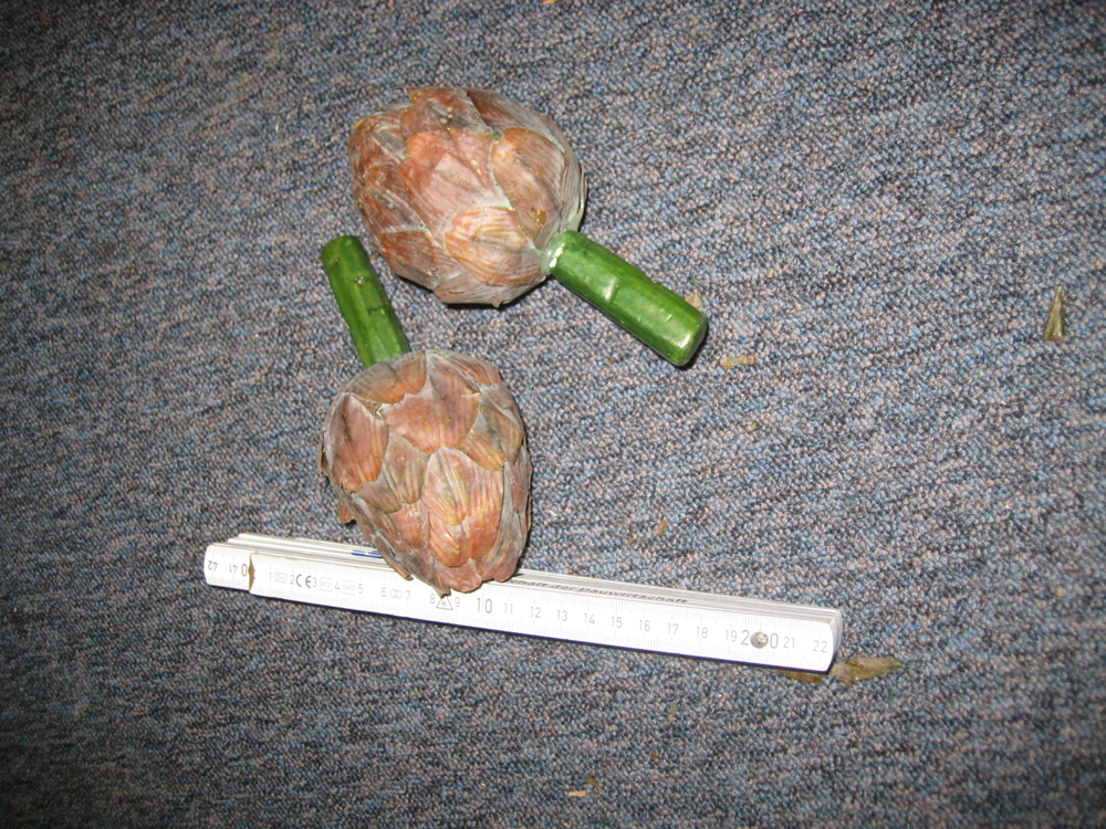 Deko Atischocken (2 Stück)