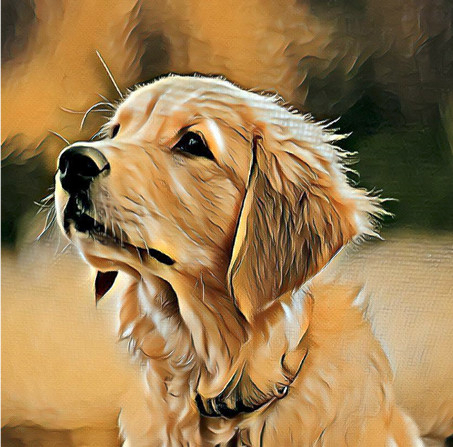 Hund Tier- Portrait vom eigenen Foto auf Leinwand