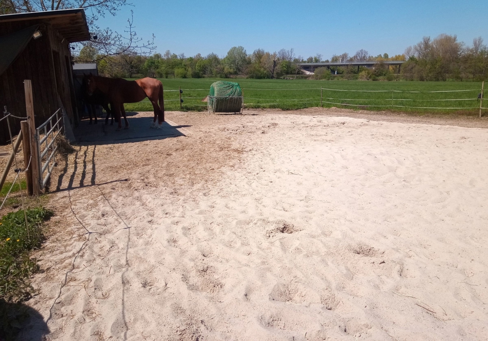 2 Ponystellplätze ab sofort in kleinem Offenstall frei, gerne stromsichere Shettys