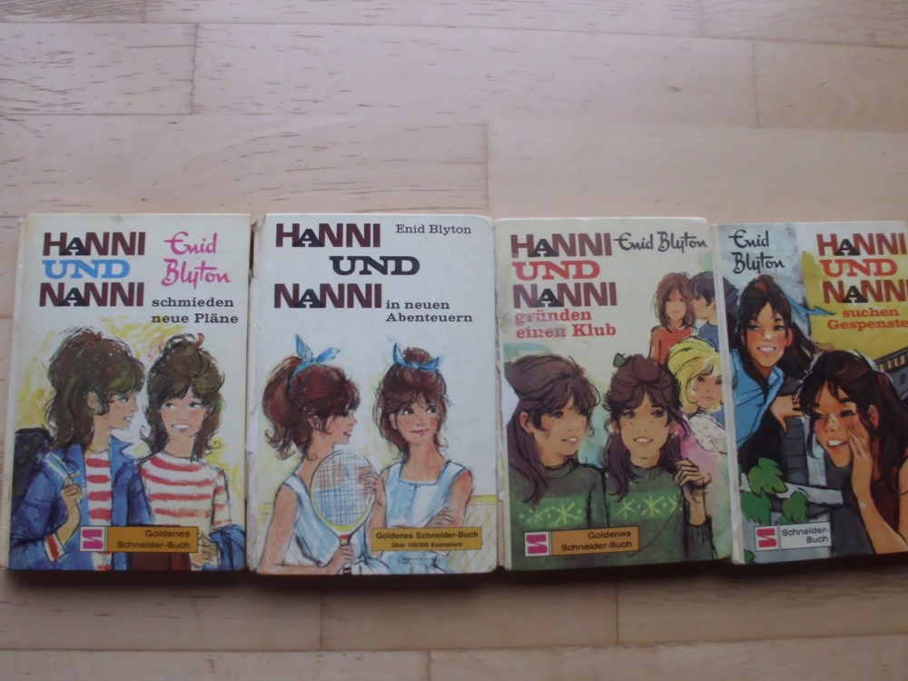 alte Schneider Bücher Hanni und Nanni