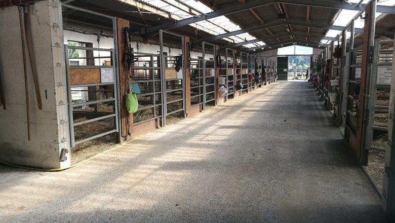 Offenstallplätze und Paddockboxen frei