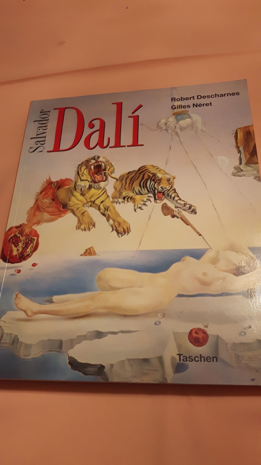 Kunstbuch Salvatore Dali 1992