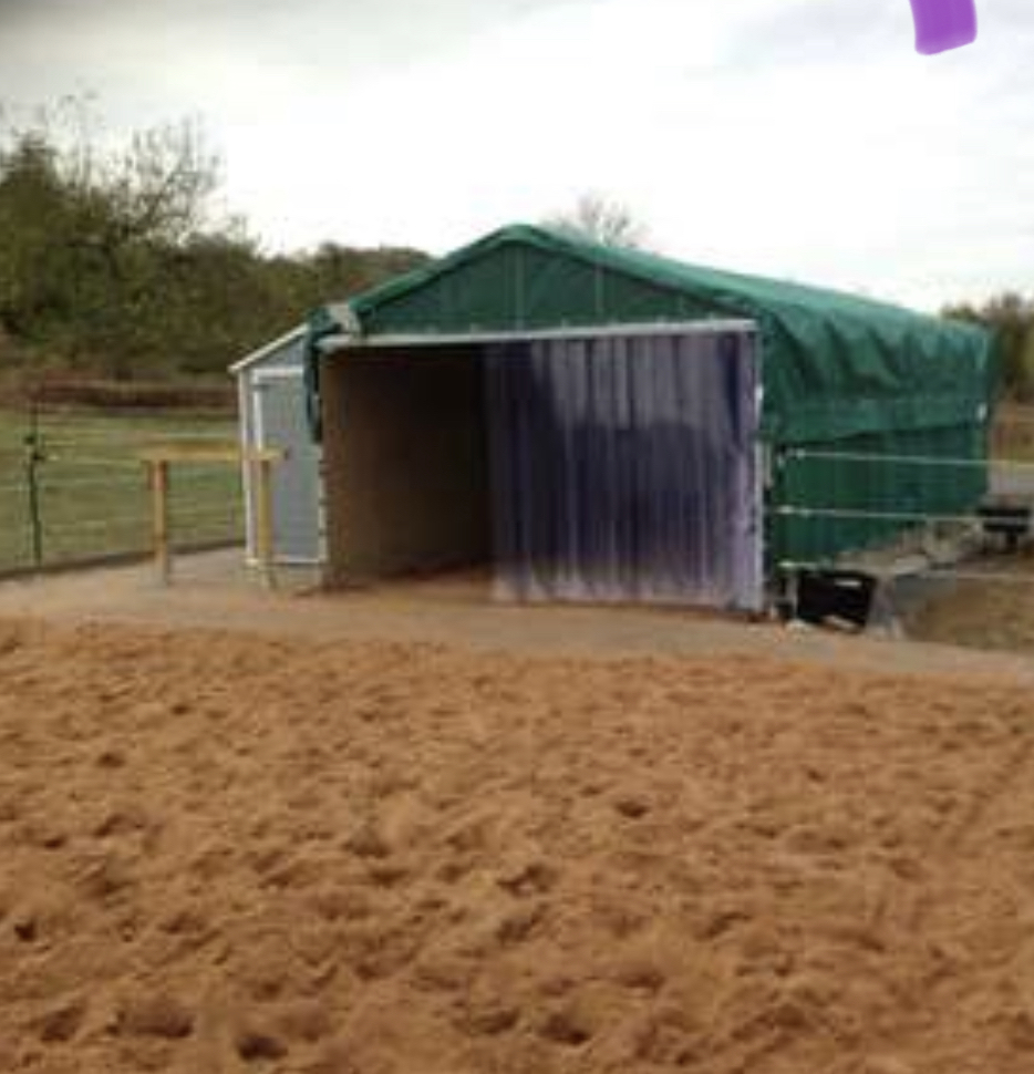 Kl. Offenstall hat Platz für lieben Pony- oder Kleinpferd Wallach, unbeschlagen