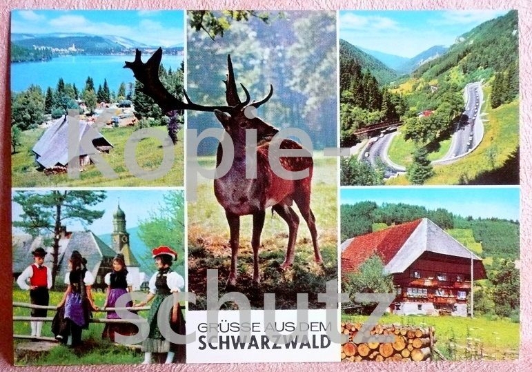 Grüße aus dem Schwarzwald - alte, farbige Mehrmotiv Postkarte