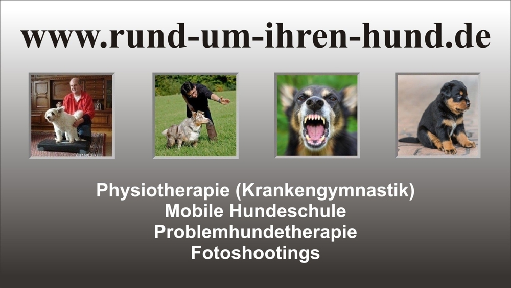 Mobile Hundeschule, Problemhunde, Hundephysiotherapie, Fotoshootings
