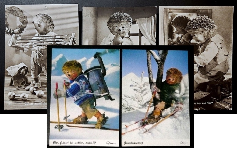 5 schöne, alte Mecki-Postkarten - toll für Sammler oder Liebhaber des kleinen Kerlchens