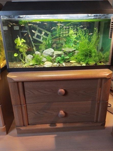 Aquarium 60x30x30cm.