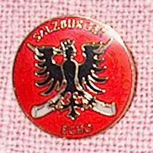 D Anstecker Pin Button Salzburger Echo   ca. 2,5 cm einandfrei erhalten Andenken Sammeln Werbebutton
