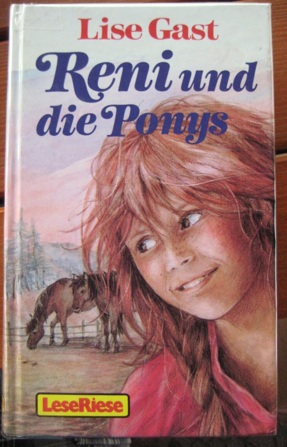 Schöne Pferdegeschichte Reni und die Ponys von Lise Gast in sehr gutem Zustand, Loewes Verlag