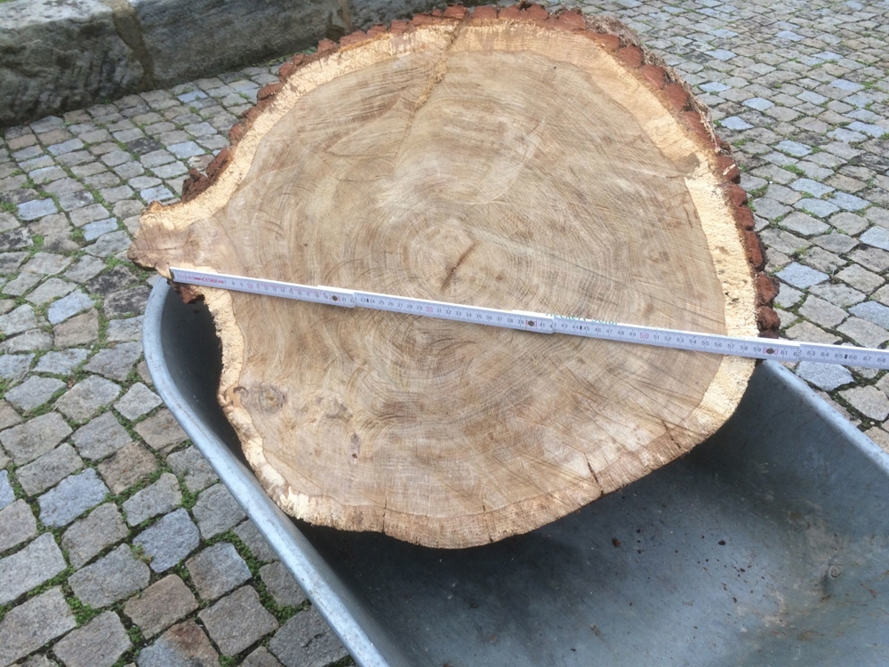 Baumscheiben 6cm bis 60 cm