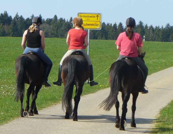 Reiterferien für Mädchen in Bayern , 1. Pfingstferienwoche noch Plätze frei