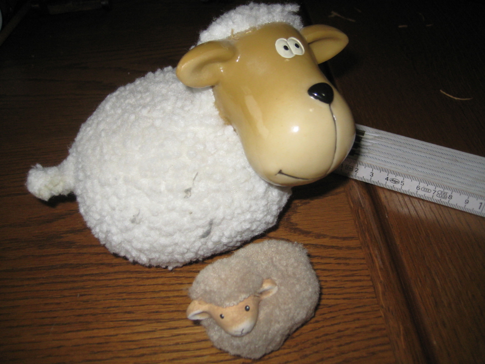 Niedliche Schafe