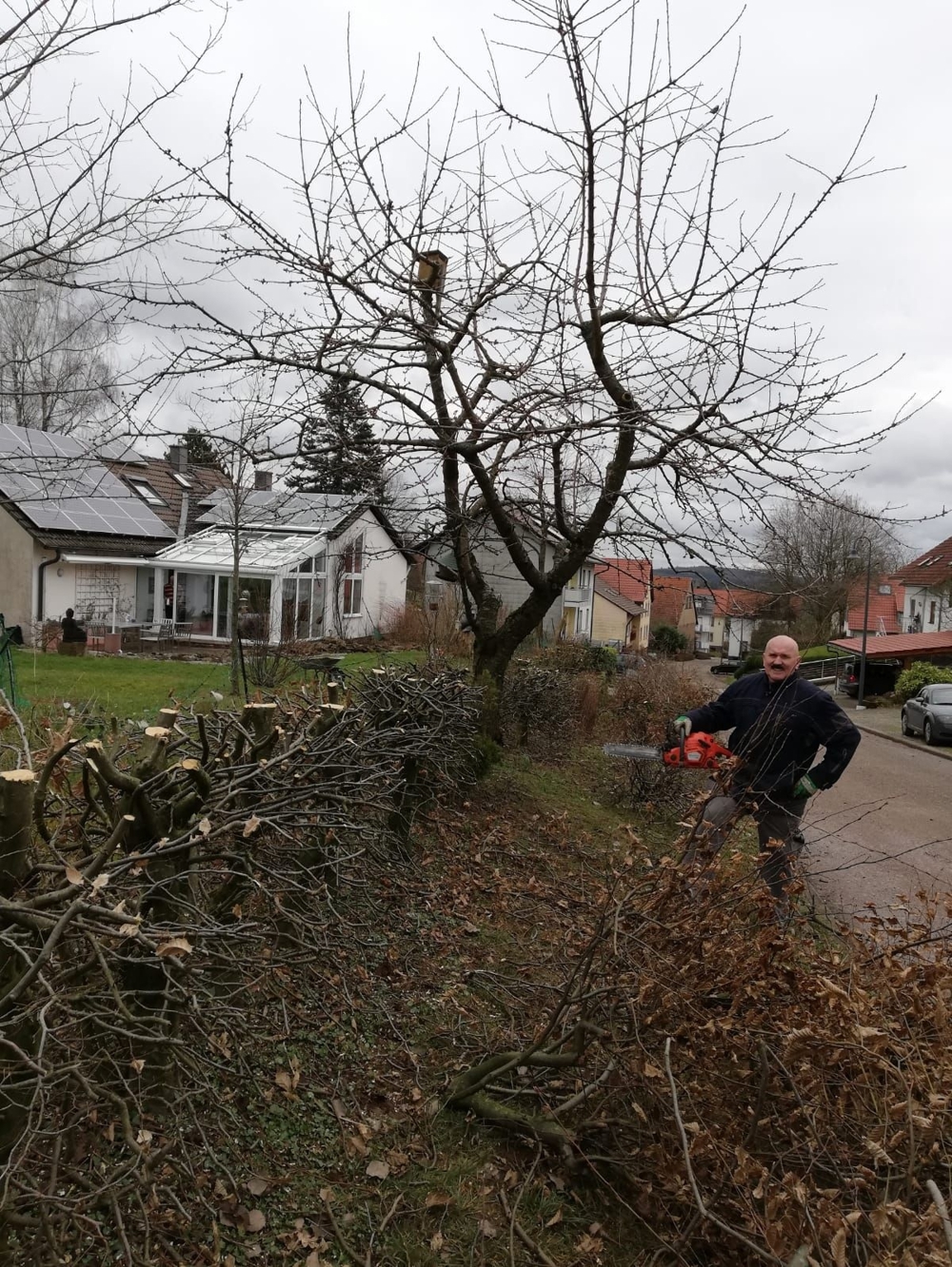 Herbst, Winter 2025, Frühjahr, Sommer 2026: Gartenarbeiten aller Art