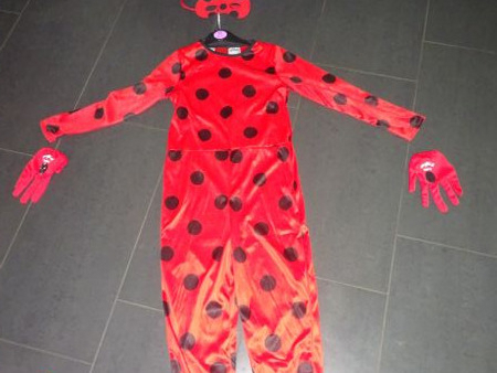 Ladybug Kostüm
