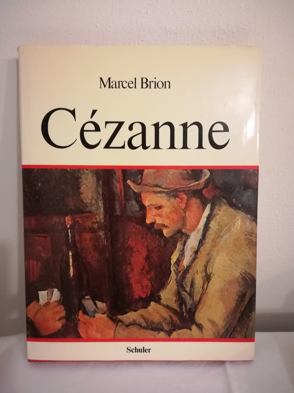Cézanne Kunstbuch