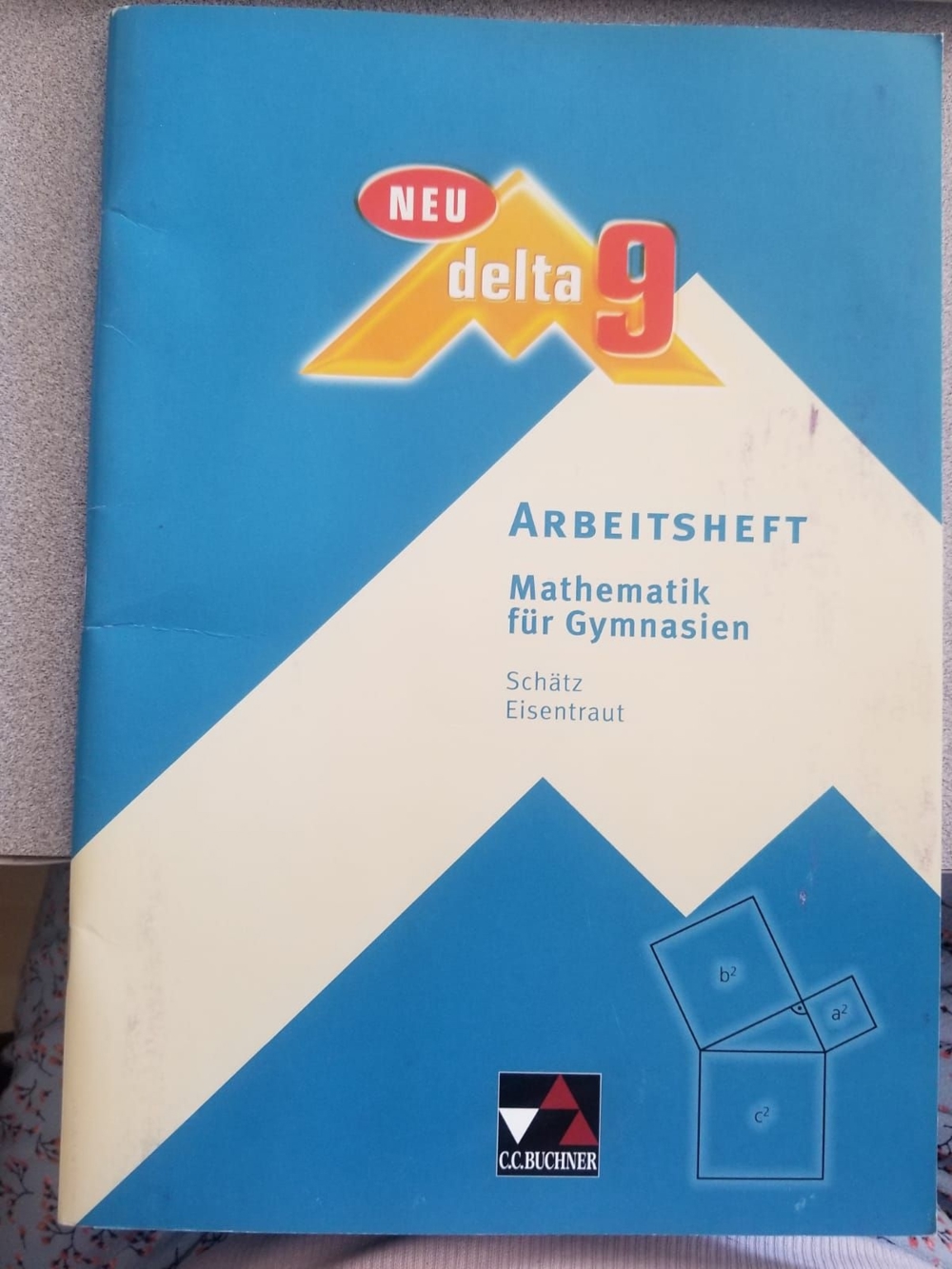 Delta   Arbeitsheft 9: Mathematik für Gymnasien