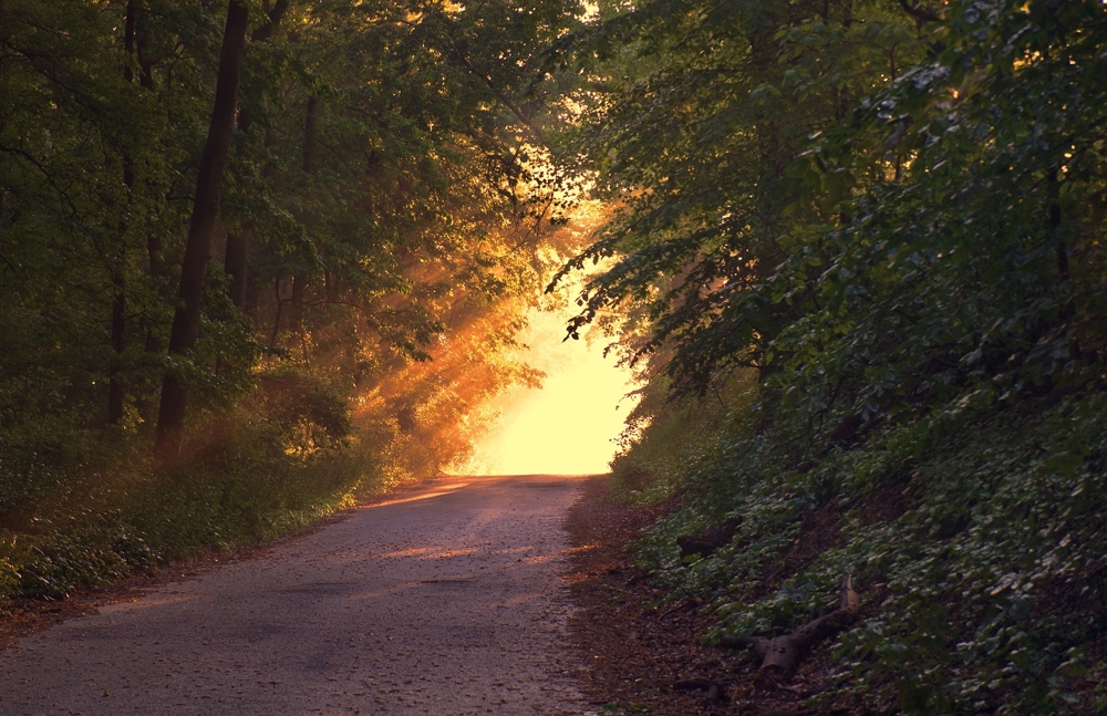 Verhaltenstherapie, Psychologische Beratung, Lebensberatung   Coaching, Hypnose 
