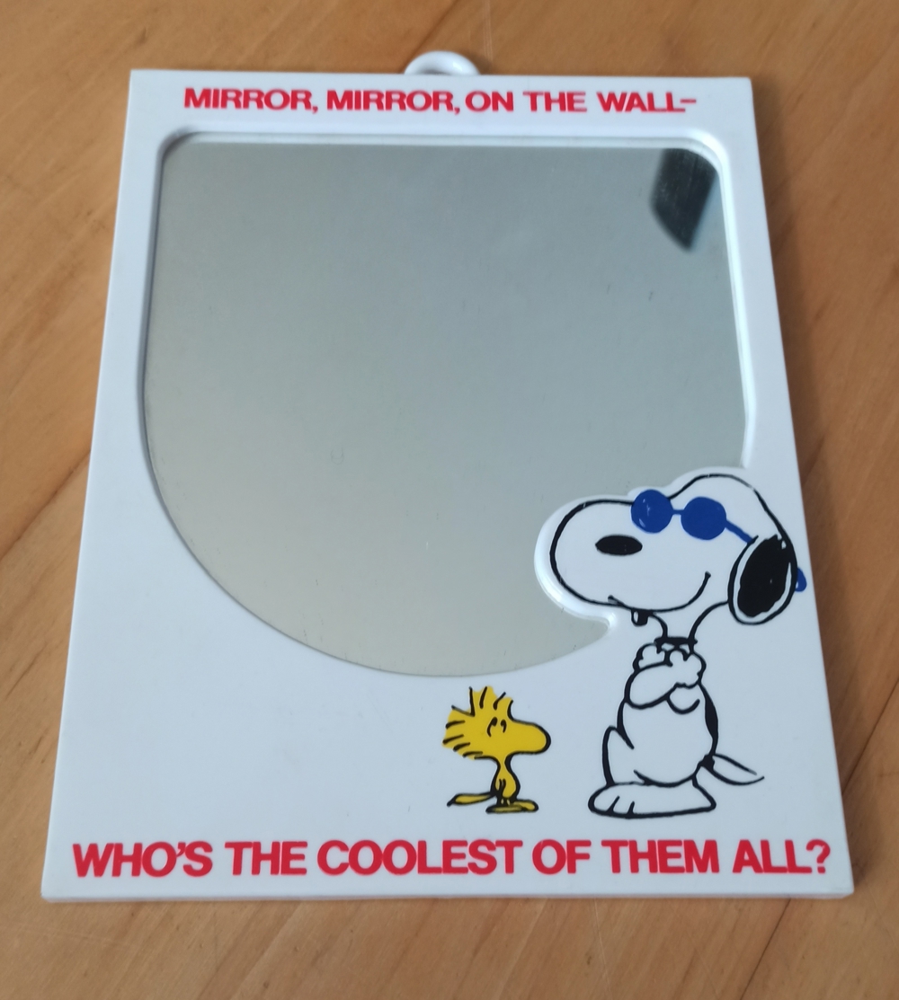 Snoopy Spiegel mit Spruch 21x16,5x1cm Gebraucht guter Zustand