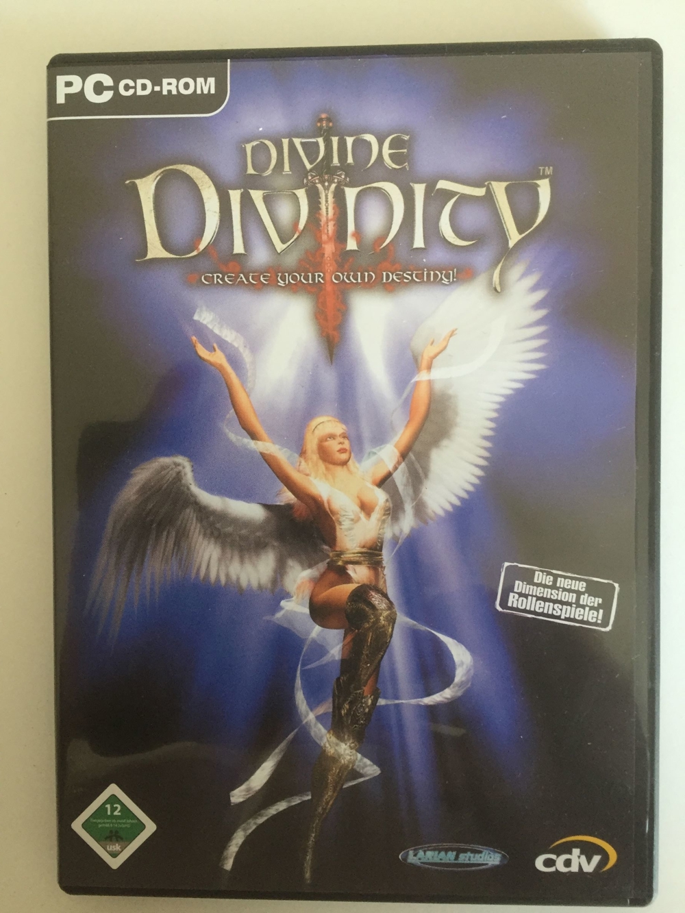Divine Divinity PC-Spiel - Bestseller -