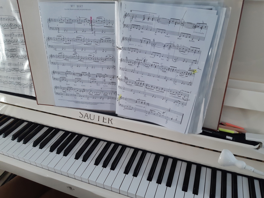 Klavierunterricht - Flötenunterricht - Keyboard - und Orgelunterricht