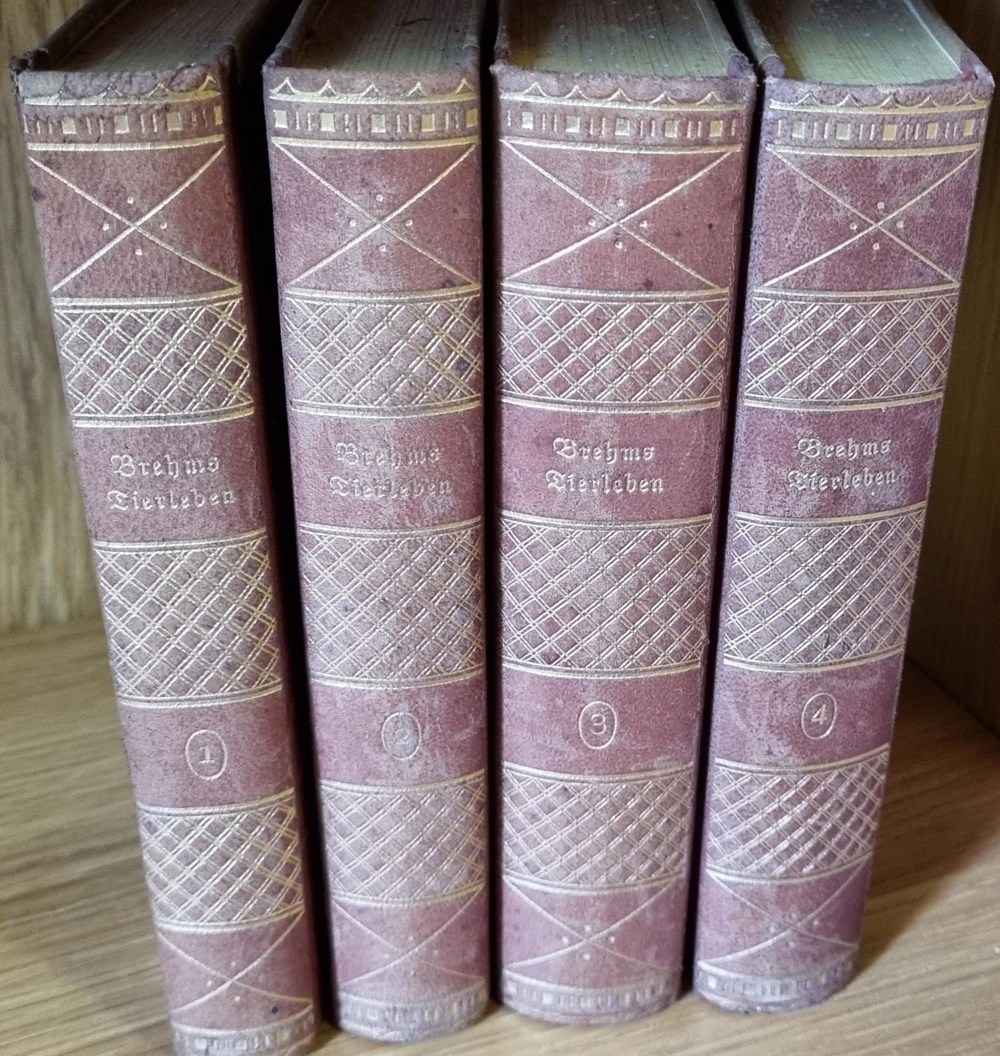 Brehms Tierleben - 4 Bände 1926
