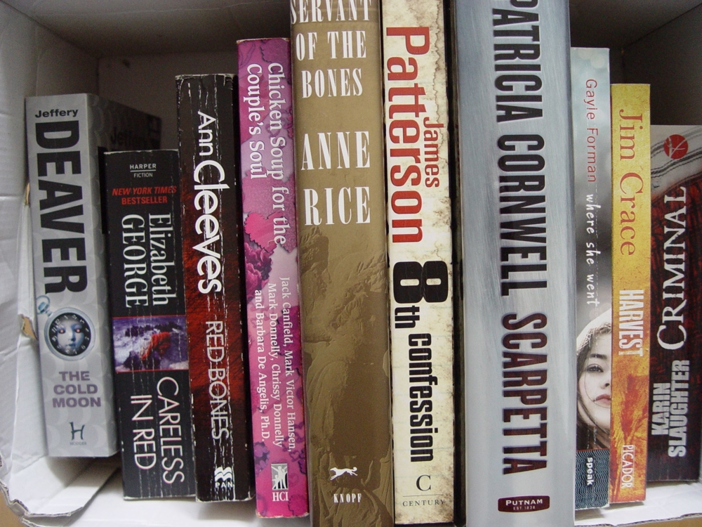 Englische Thriller, Romane, Krimis - in englisch - 10 Bücher