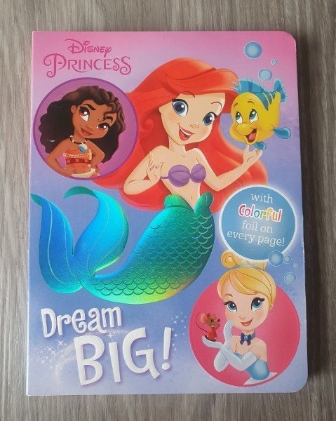 Bilderbuch "Disney Princess - Dream Big!" (Englisch)