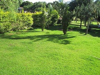 Vier Grundstücke in guter Lage in Obligado / Paraguay