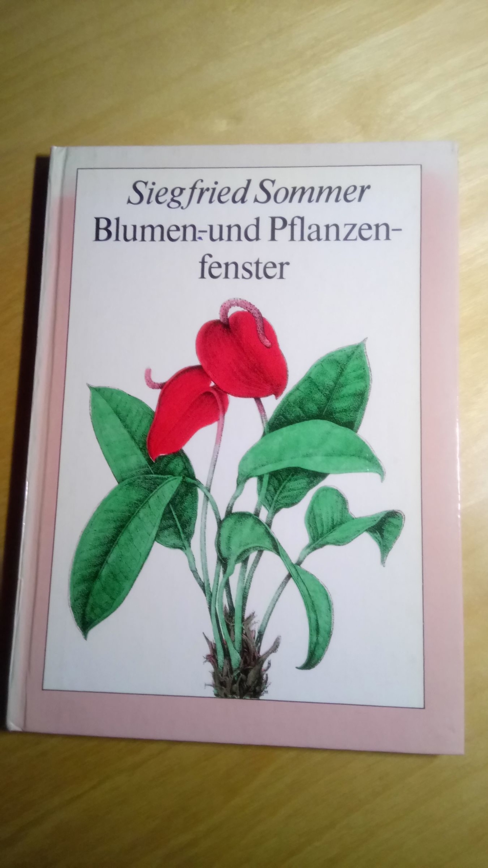 Blumen- und Pflanzenfenster