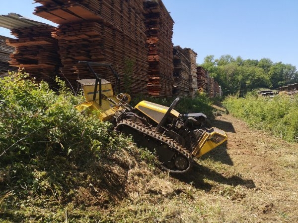 Verwilderte Grundstücke Roden,Forstmulchen,Wurzelfräsen,Rodungen,Baumfällungen, Mäharbeiten 