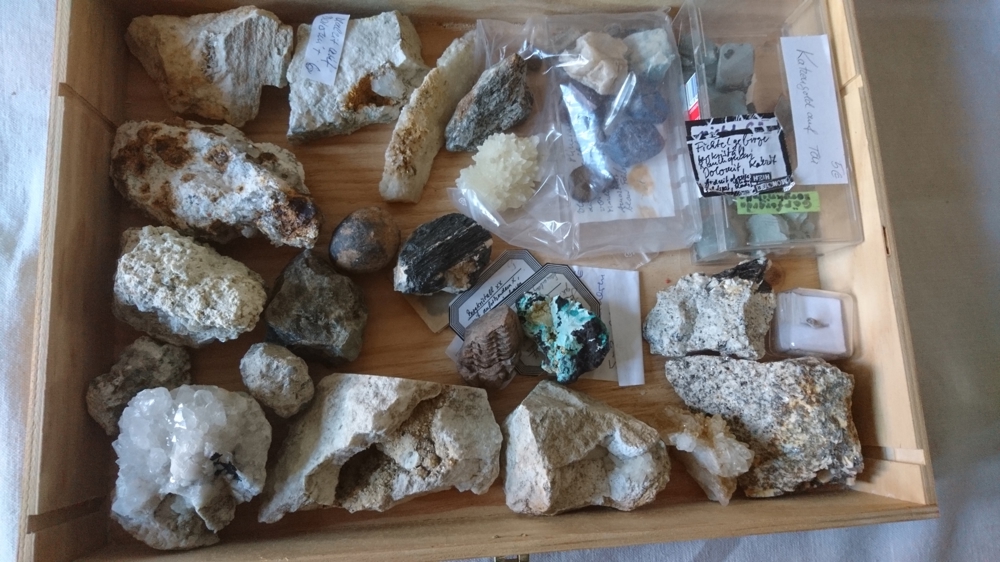 Viele verschiedene Steine und Fossilien für den Sammler