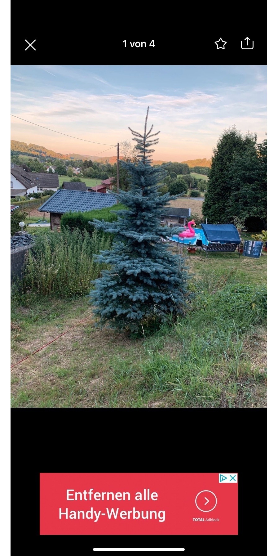 Tannenbaum zum Weihnachtsfest 
