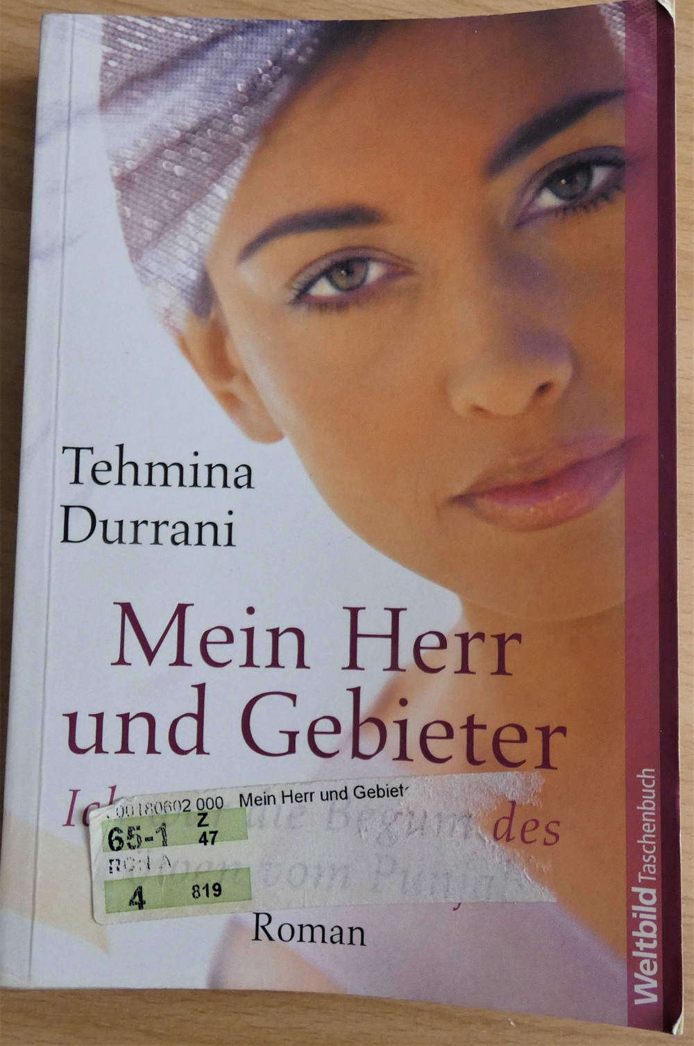 .Mein Herr und Gebieter / Tehmina Durrani / Taschenbuch