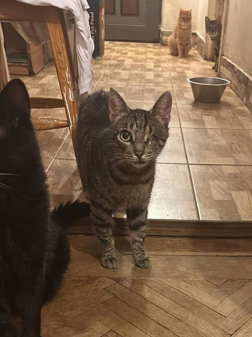 Fashoom sucht eine neue Familie