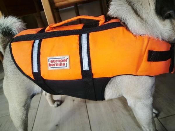 Schwimmweste / Rettungsweste für kleinen Hund