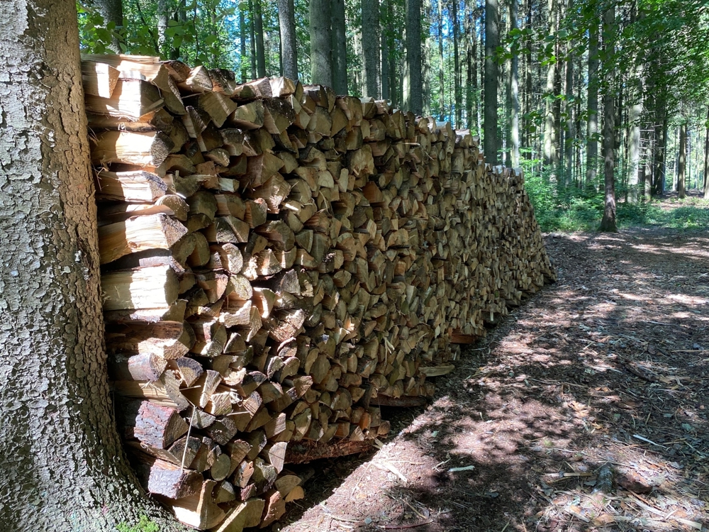 12 Ster Brennholz ca.1m lang zu verkaufen.