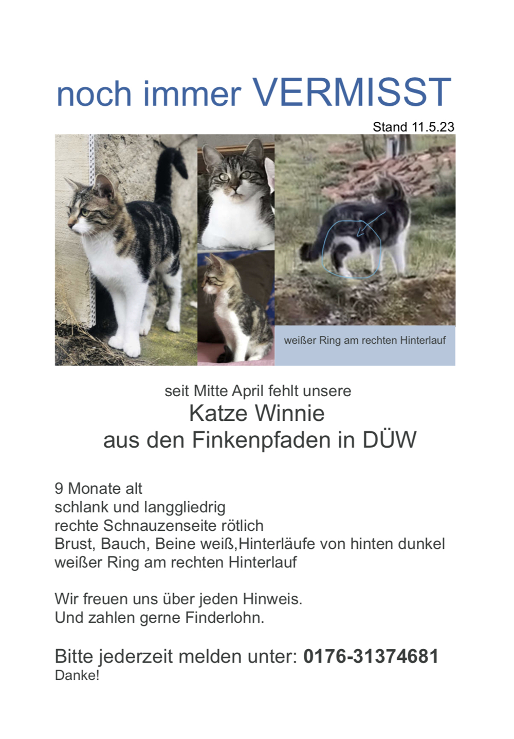 Finderlohn 400EUR Katze Winnie aus Bad Dürkheim vermisst