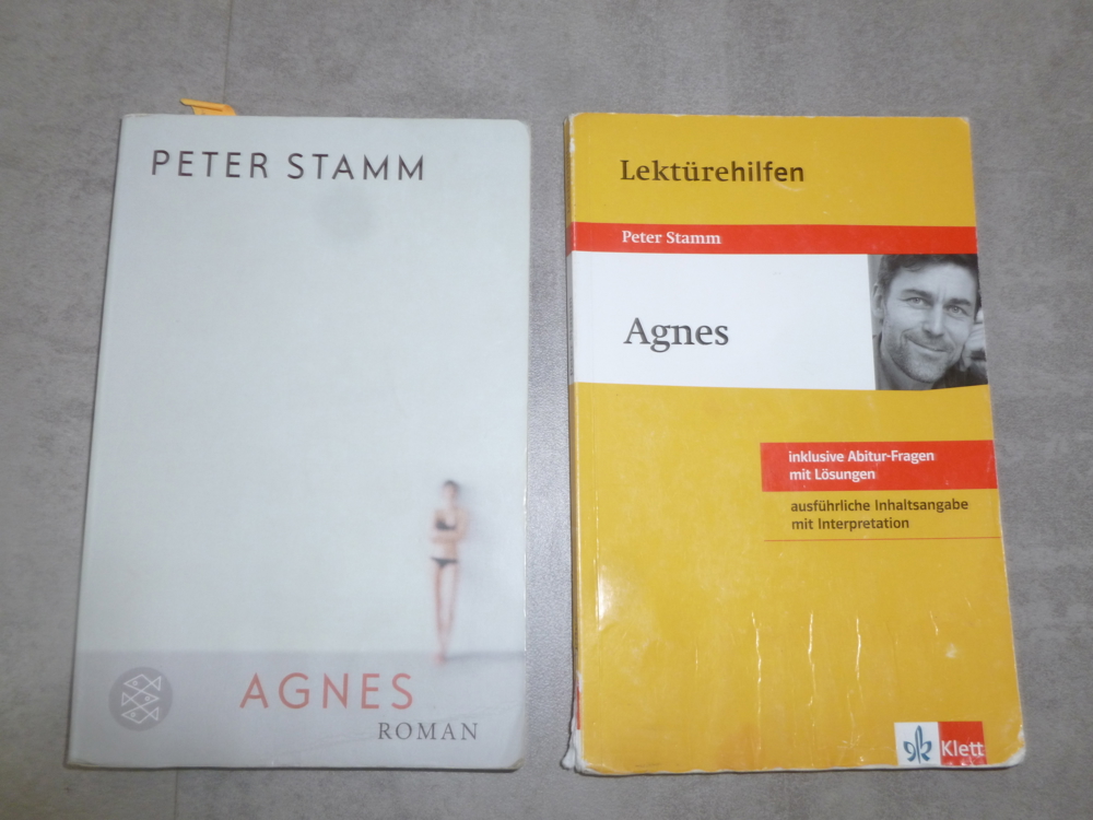 Agnes von Peter Stramm, Roman und Lektürehilfen