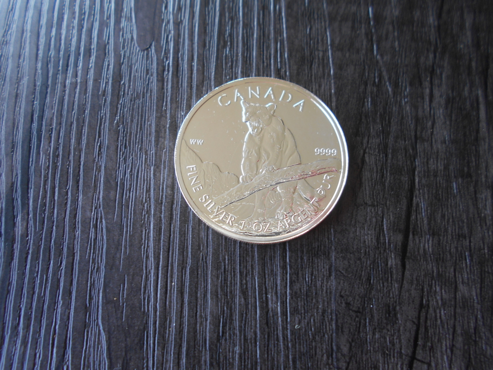 Kanada 1 Dollar Wildlife PUMA 2012 1 oz Silber