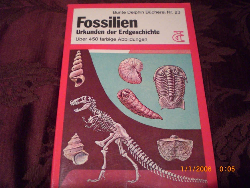 Fossilien