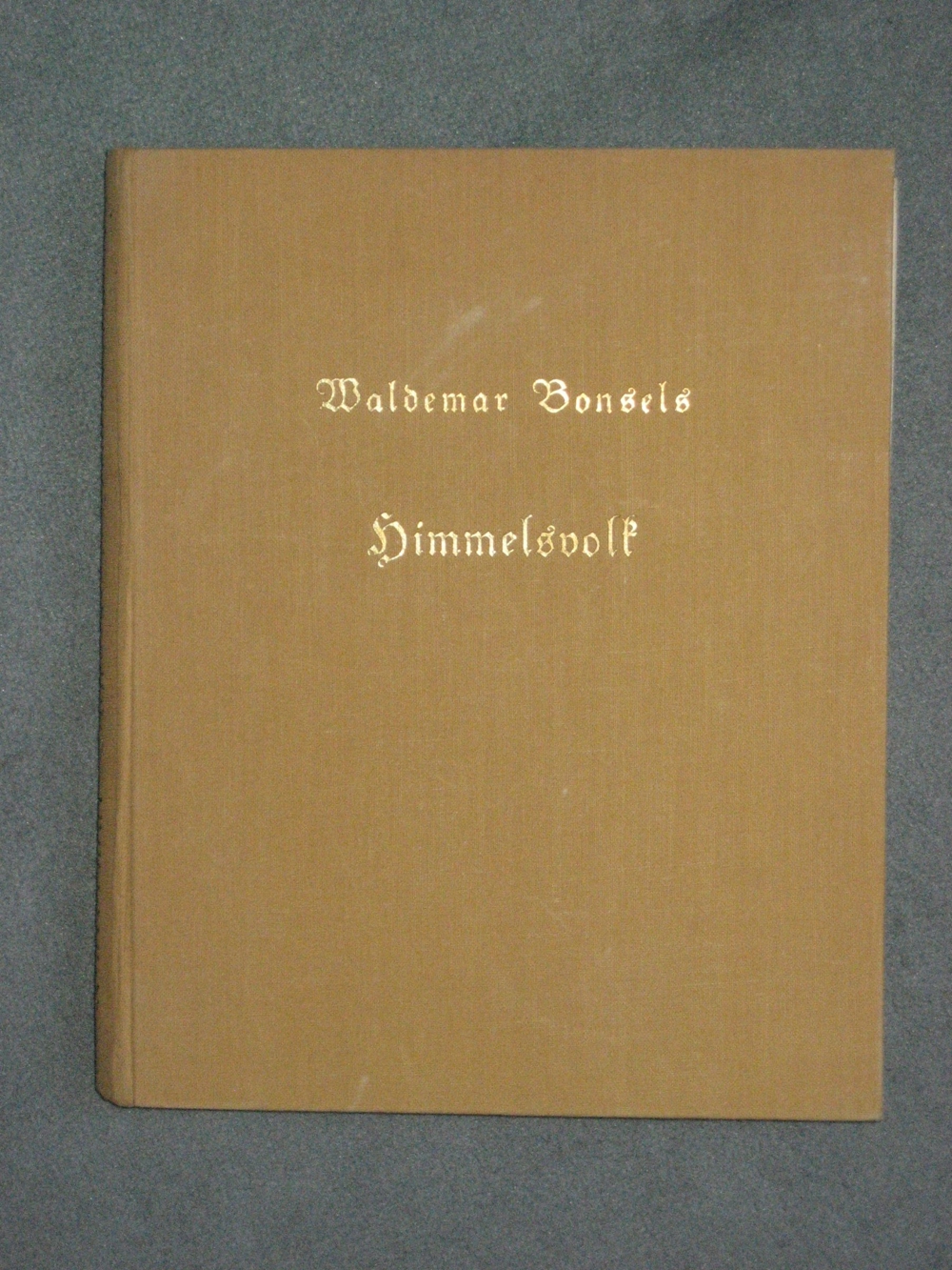 Waldemar Bonsels "Himmelsvolk" Ausgabe ca. 1925, illustriert