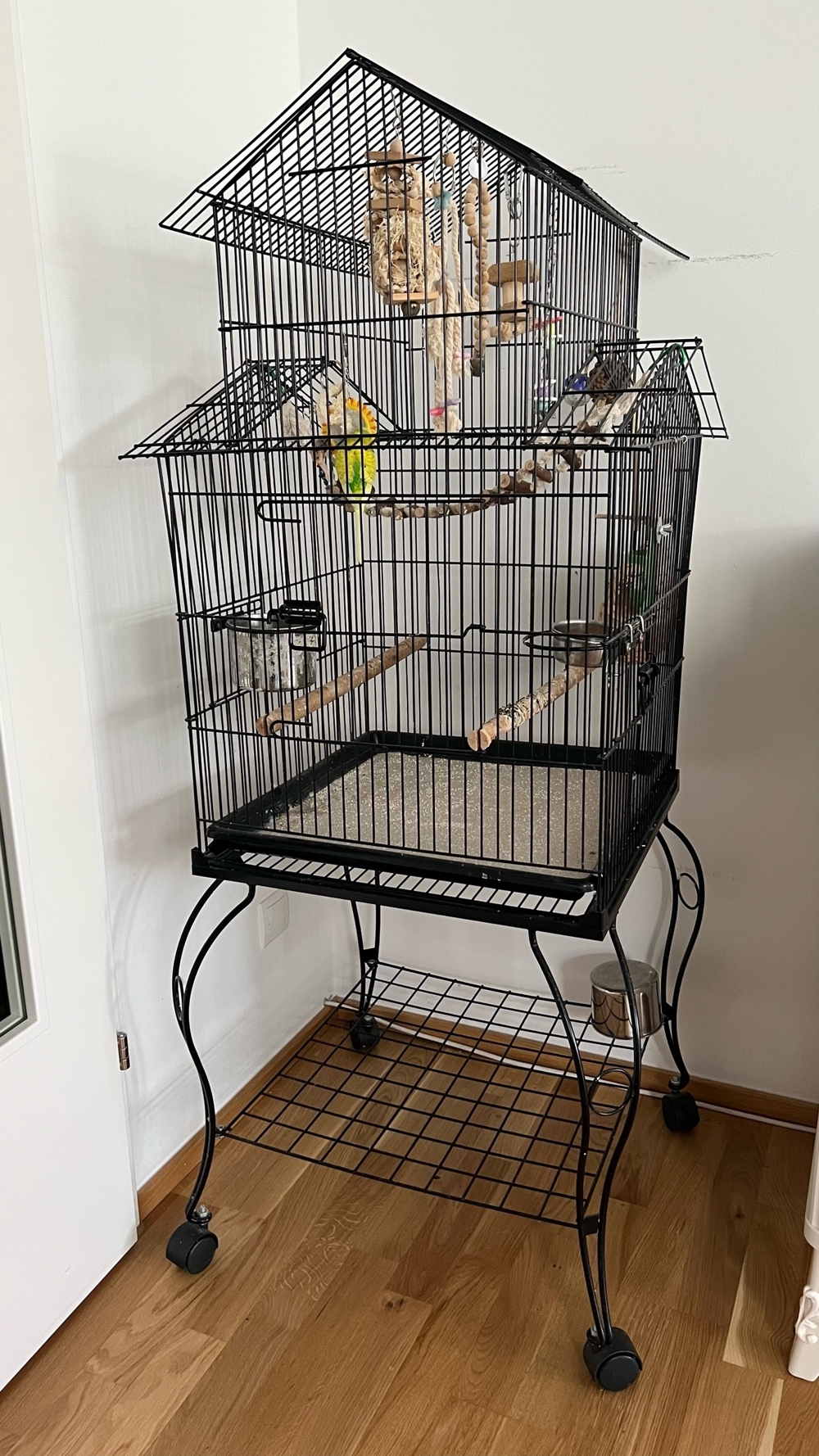 Vögel mit Käfig