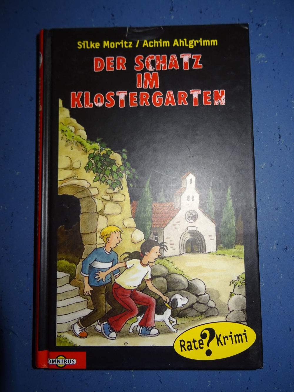[Inkl. Versand] Der Schatz im Klostergarten - Kinderbuch ab 10 von Ahlgrimm, Achim; Moritz, Silke