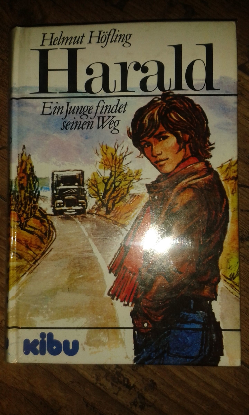 Spannendes Jugendbuch Harald - Ein Junge findet seinen Weg von Helmut Höfling, KIBU Verlag